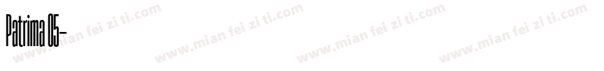 Patrima 05字体转换